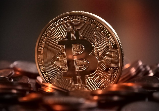 gc5fc1050bcb3140b23eea765d4cfabeffcc3fa21433a8c6de709f91d4eff78e17dc6ca2cda35f19026550f4089da77c74f3718084c95a3f13d333a51037d8aeb_640.jpg